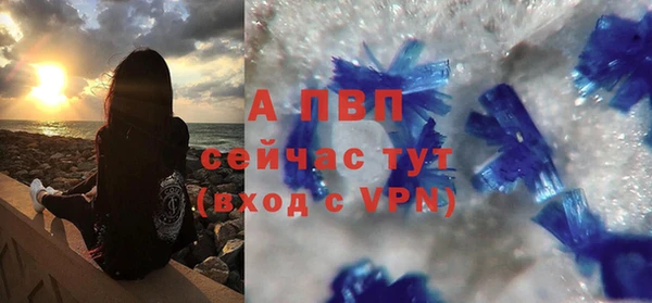 дурь Ельня