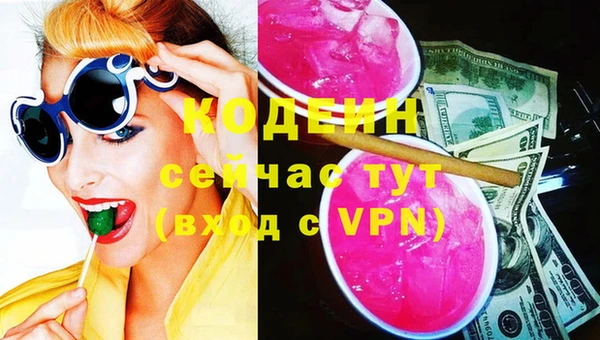 мет Елизово