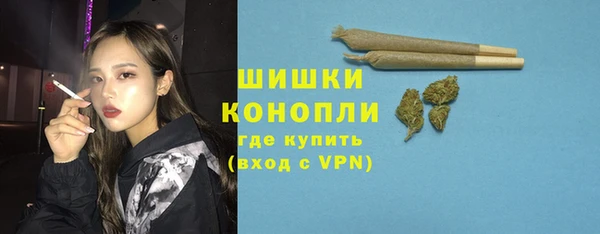 PSILOCYBIN Заводоуковск