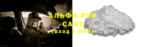 PSILOCYBIN Заводоуковск