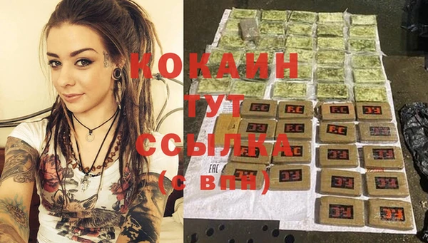 PSILOCYBIN Заводоуковск
