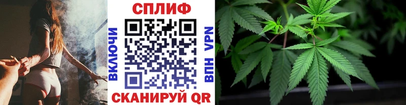 дарнет шоп  Теберда  Шишки марихуана конопля 